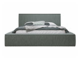 Seng TrendyNest 107