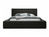 Seng TrendyNest 107