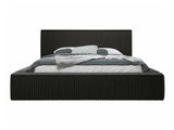 Seng TrendyNest 107