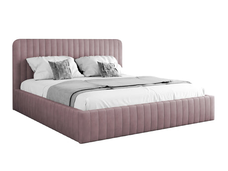 Seng TrendyNest 108