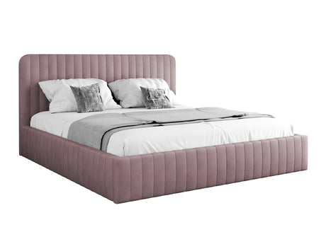 Seng TrendyNest 108