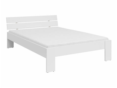 Seng Boston 544