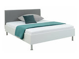 Seng Boston 552