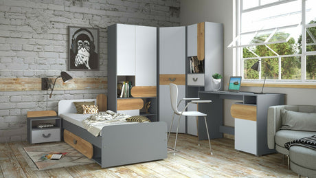 Seng Ogden L110