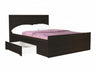 Seng Murrieta D108