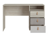 Skrivebord Sertesi 100