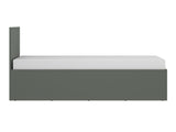 Seng Novfera 110