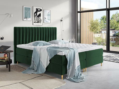 Kontinentalseng ComfiDream 156