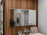 Mirror Comfivo A124