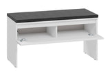 Skoskab Lorcama 100