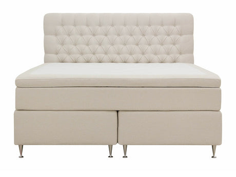 Kontinentalseng Seattle 210