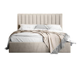 Seng Beloit 100