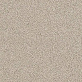 Sovesofa TrendyNest 114