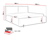Seng TrendyNest 117