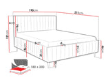 Seng Baltimore 203