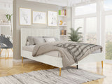 Seng Comfivo 351 4209288