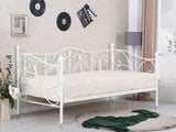Seng Houston 576 4235090