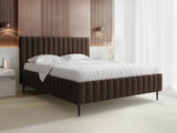 Seng Baltimore 203 4245371