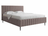 Seng Baltimore 203 4245412