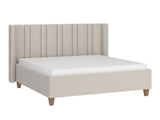 Seng Tivnove 100