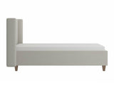 Seng Tivnove 100