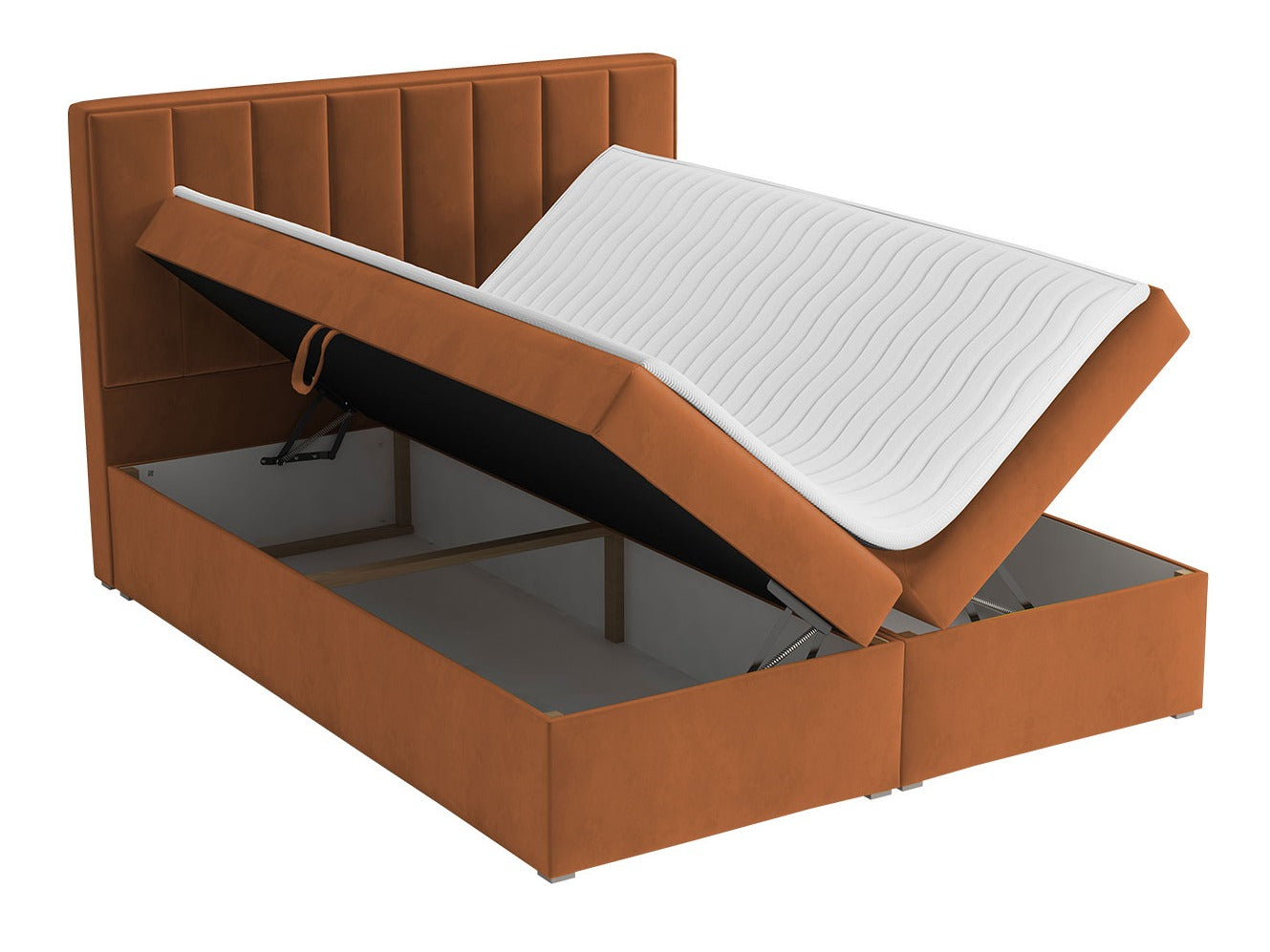 Kontinentalseng Pomona 116 4378421