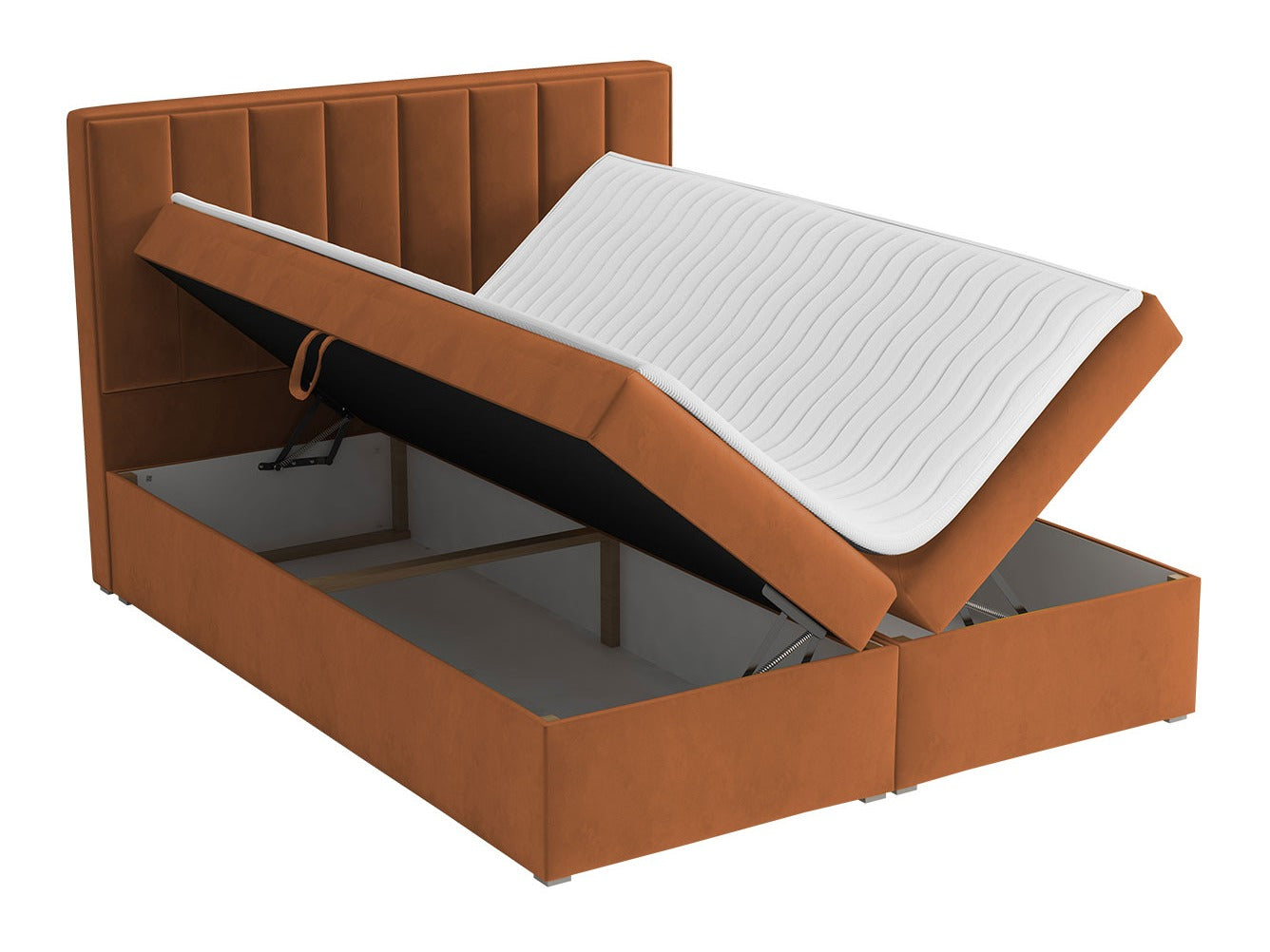 Kontinentalseng Pomona 116 4378426