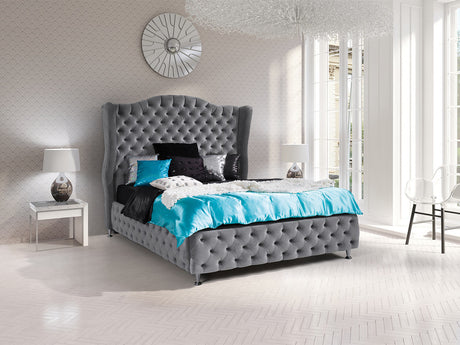 Seng Florence 102