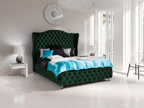 Seng Florence 102