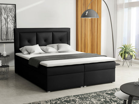 Kontinentalseng Pomona 113