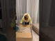 Sovesofa Comfivo 424 TkIEpACib4Y