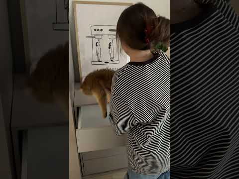 Kommode Comfivo Fersoe 104 JYqMbZNhI64